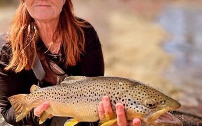 Catching Big Brown Trout