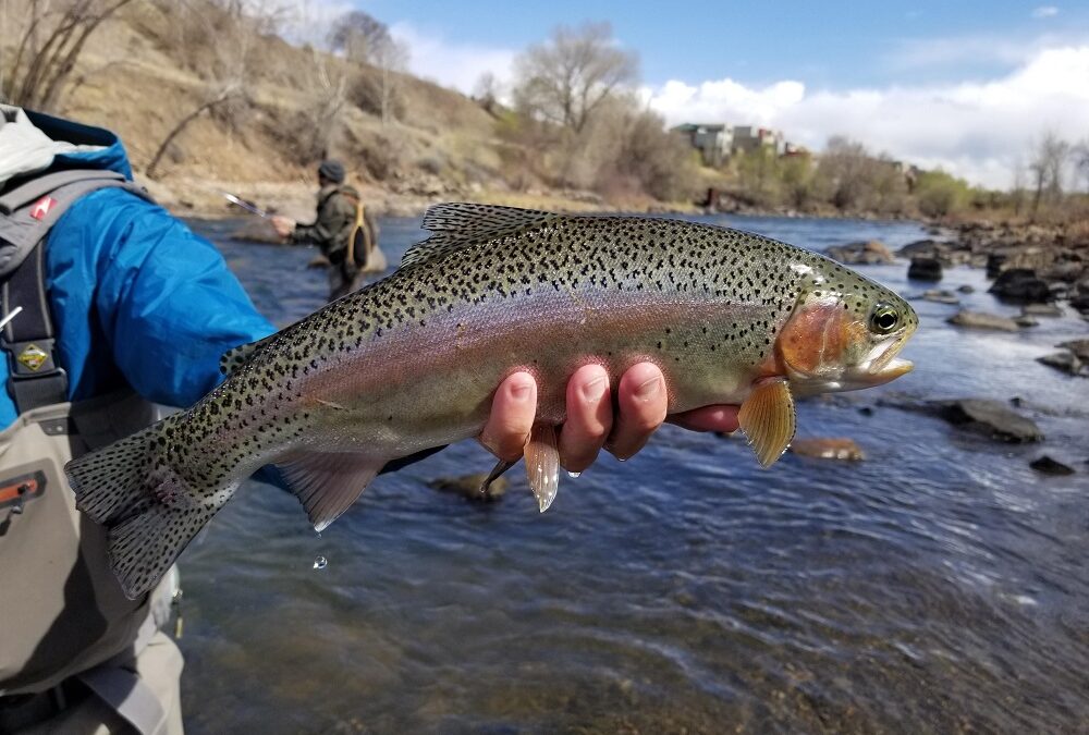 Intro to Fly Fishing 2-Day School