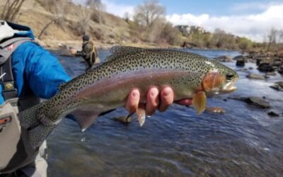 Intro to Fly Fishing 2-Day School