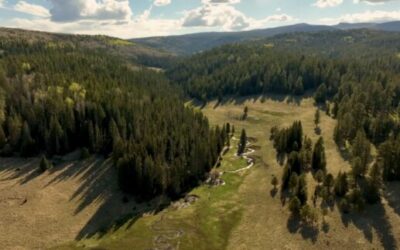 Fly Fishing Small Technical Streams